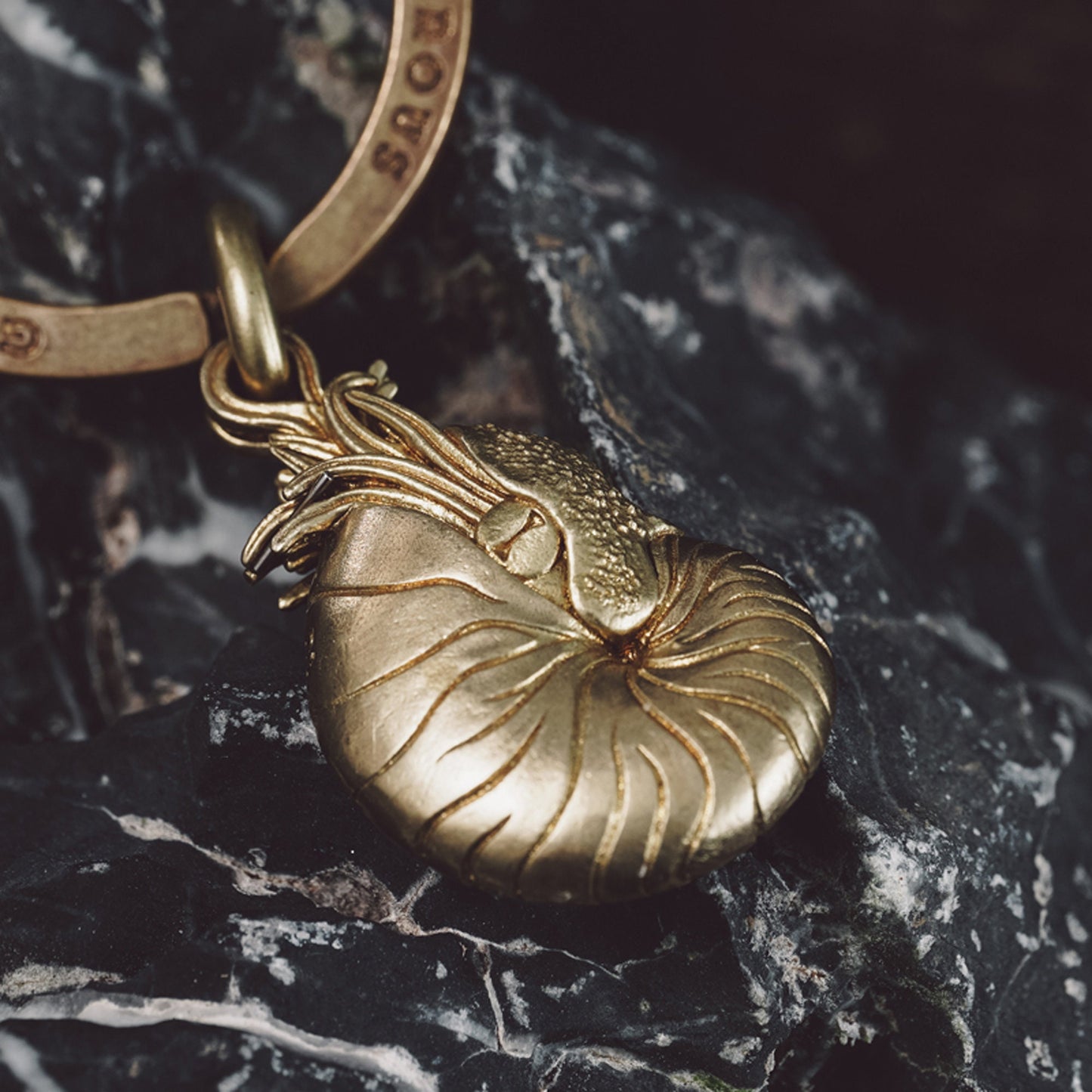 Nautilus key chain Solid Brass Key ring EDC charm Gothic and punk accessory deep sea lover Father gift, husband gift, best man gift