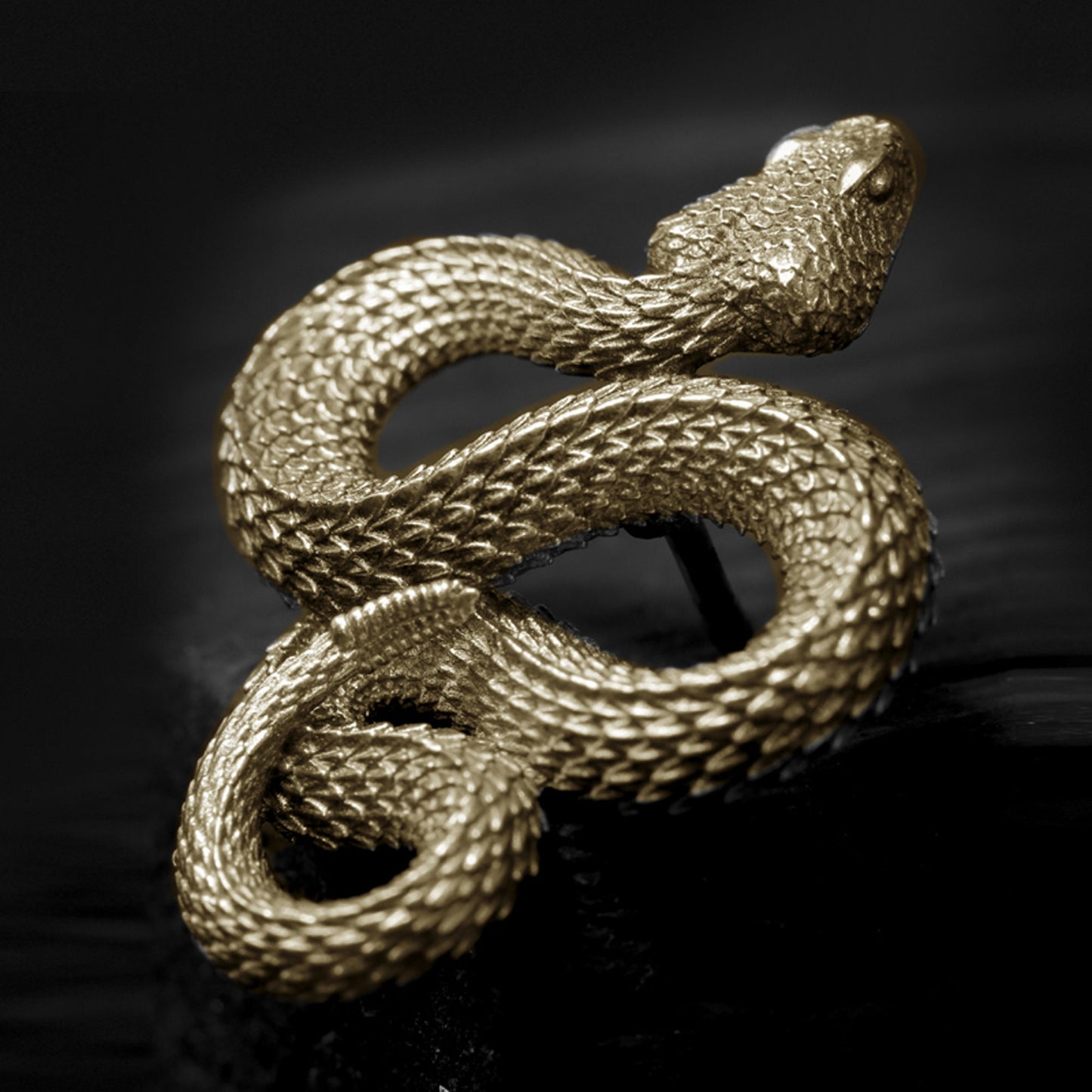 Rattlesnake Tie Tack brooch Solid Brass snake collar pin tie pin hat pin EDC charm Gothic punk accessory Father gift, husband gift, man gift