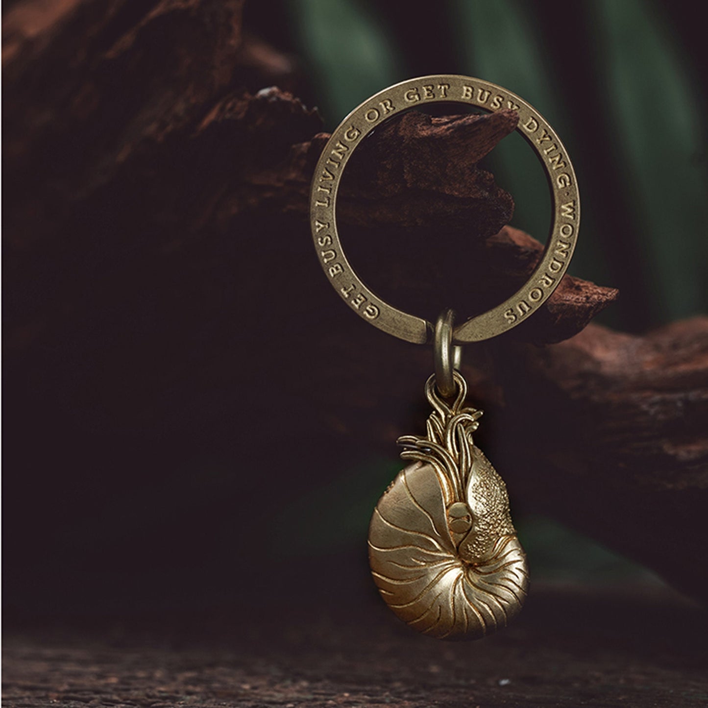 Nautilus key chain Solid Brass Key ring EDC charm Gothic and punk accessory deep sea lover Father gift, husband gift, best man gift