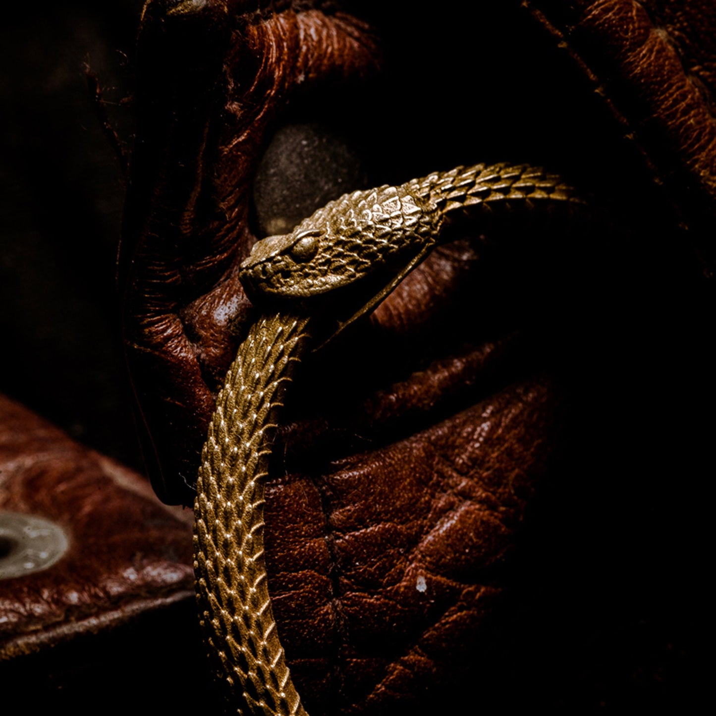 Rattlesnake key ring Snake key chain Ouroboros Solid Brass Key ring EDC charm Gothic and punk accessory Father gift, husband gift, man gift