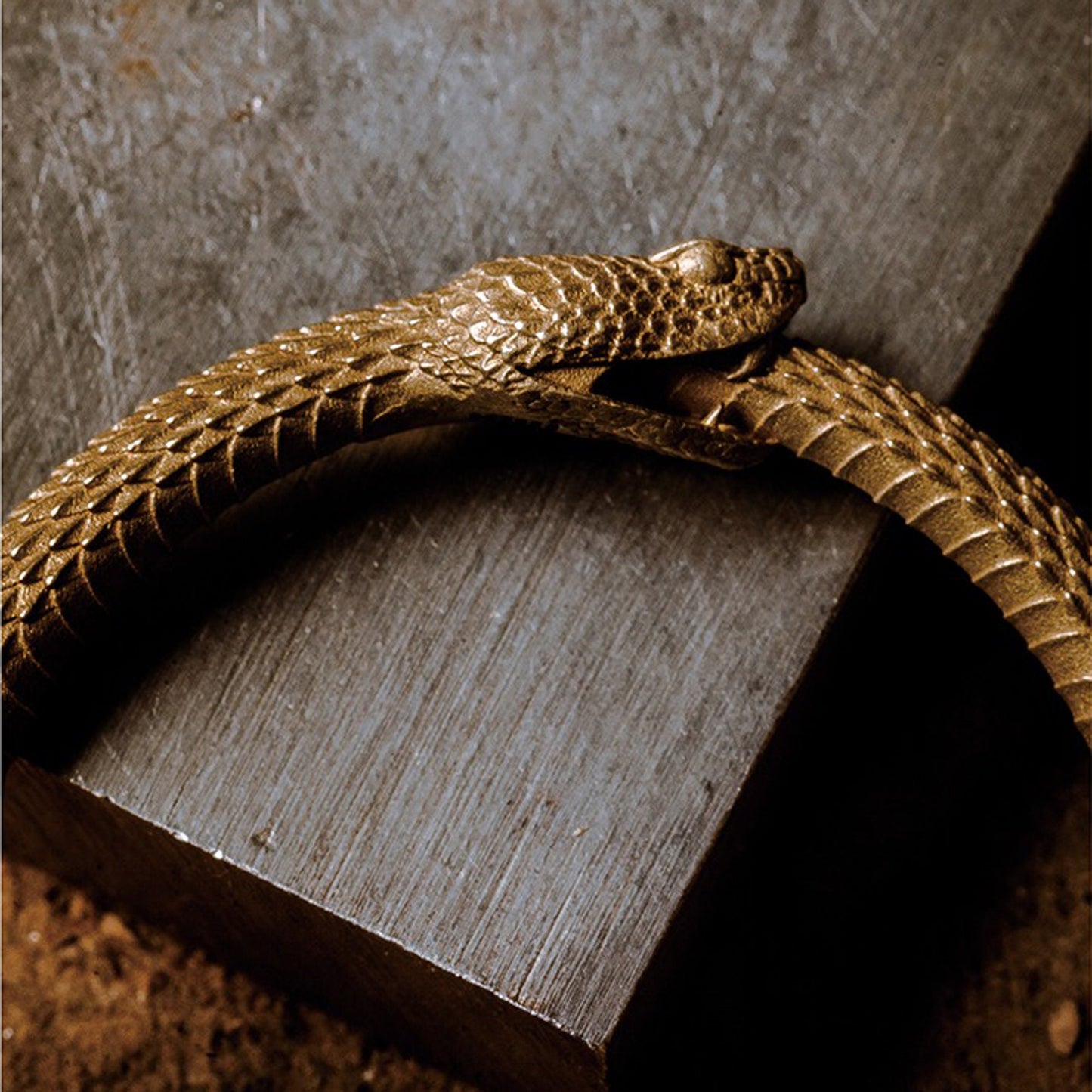 Rattlesnake key ring Snake key chain Ouroboros Solid Brass Key ring EDC charm Gothic and punk accessory Father gift, husband gift, man gift