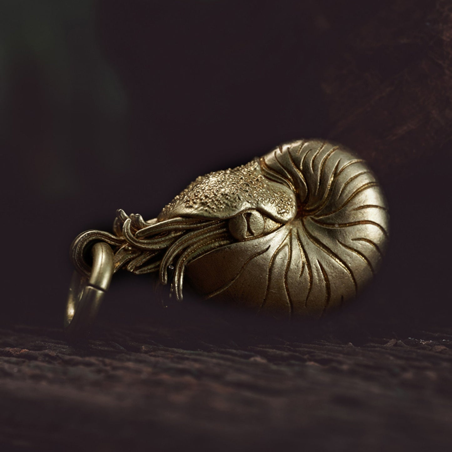 Nautilus key chain Solid Brass Key ring EDC charm Gothic and punk accessory deep sea lover Father gift, husband gift, best man gift