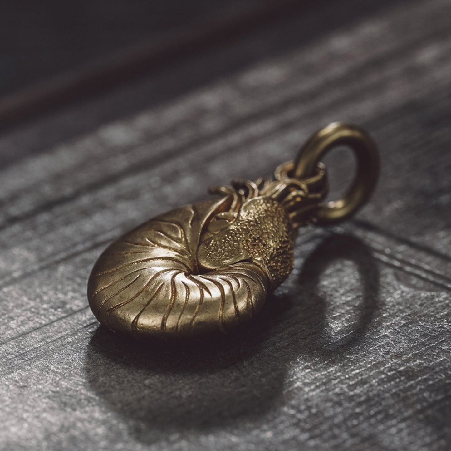 Nautilus key chain Solid Brass Key ring EDC charm Gothic and punk accessory deep sea lover Father gift, husband gift, best man gift
