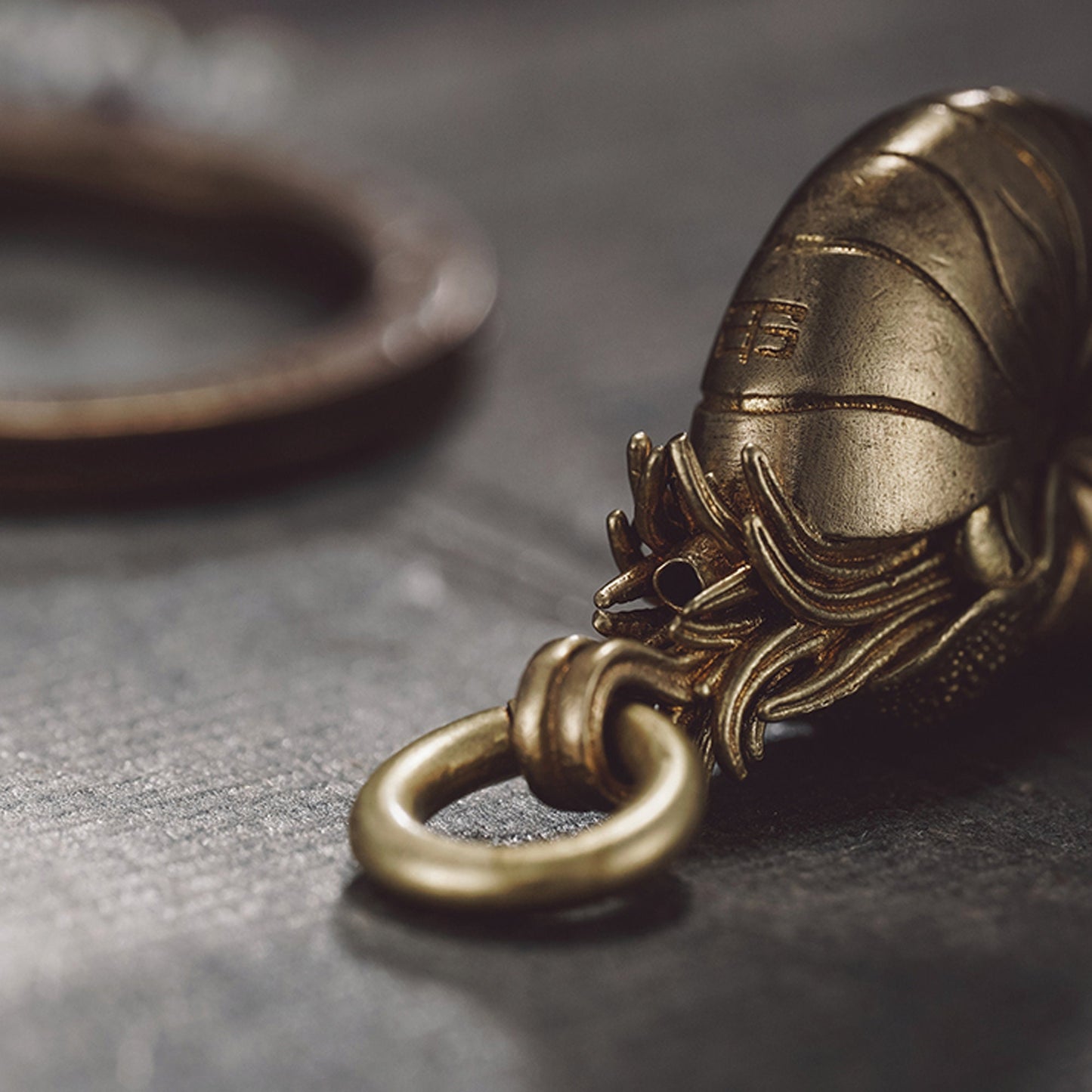 Nautilus key chain Solid Brass Key ring EDC charm Gothic and punk accessory deep sea lover Father gift, husband gift, best man gift