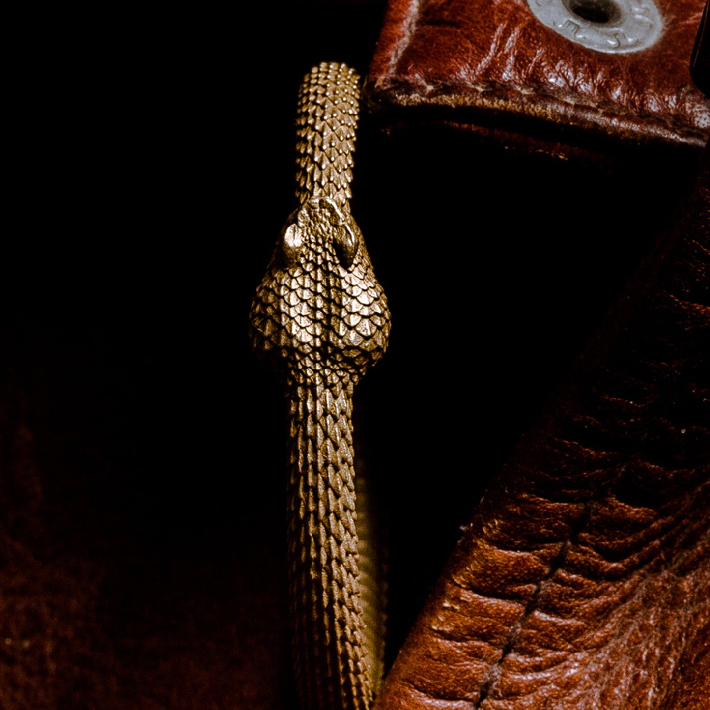 Rattlesnake key ring Snake key chain Ouroboros Solid Brass Key ring EDC charm Gothic and punk accessory Father gift, husband gift, man gift
