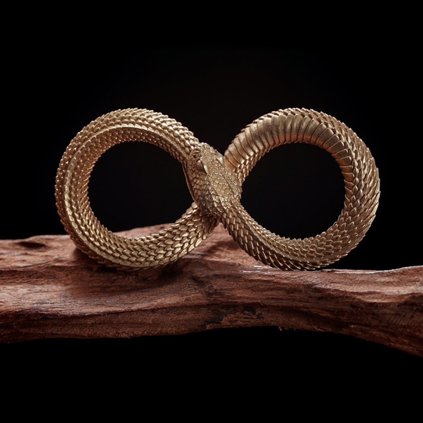 Infinity Snake key ring Rattlesnake  key chain Ouroboros Solid Brass Key ring EDC charm Gothic and punk accessory Father gift, man gift