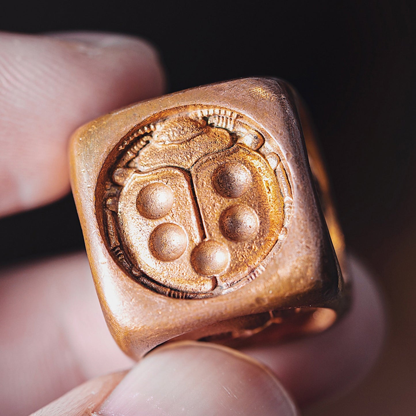 Brass ladybird Dice, EDC toys, Drinking Props, Party Supplies, Game dice, Running Dice, Traditional Dice, Metal Dice, Toys, D6, Creative Toy