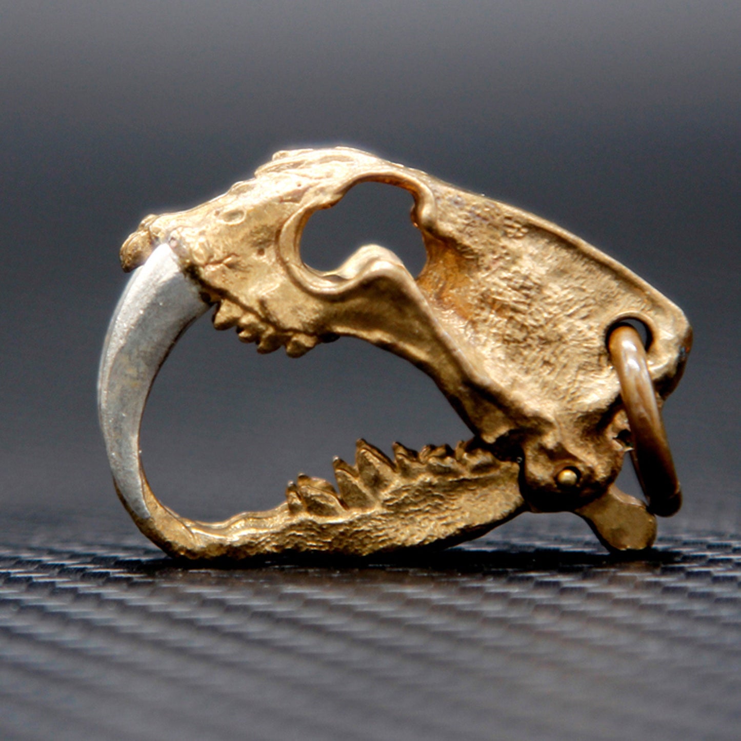 Saber-Toothed Tiger Bone Clip key chain Solid Brass Key ring EDC charm Gothic and punk accessory Father gift, husband gift, best man gift