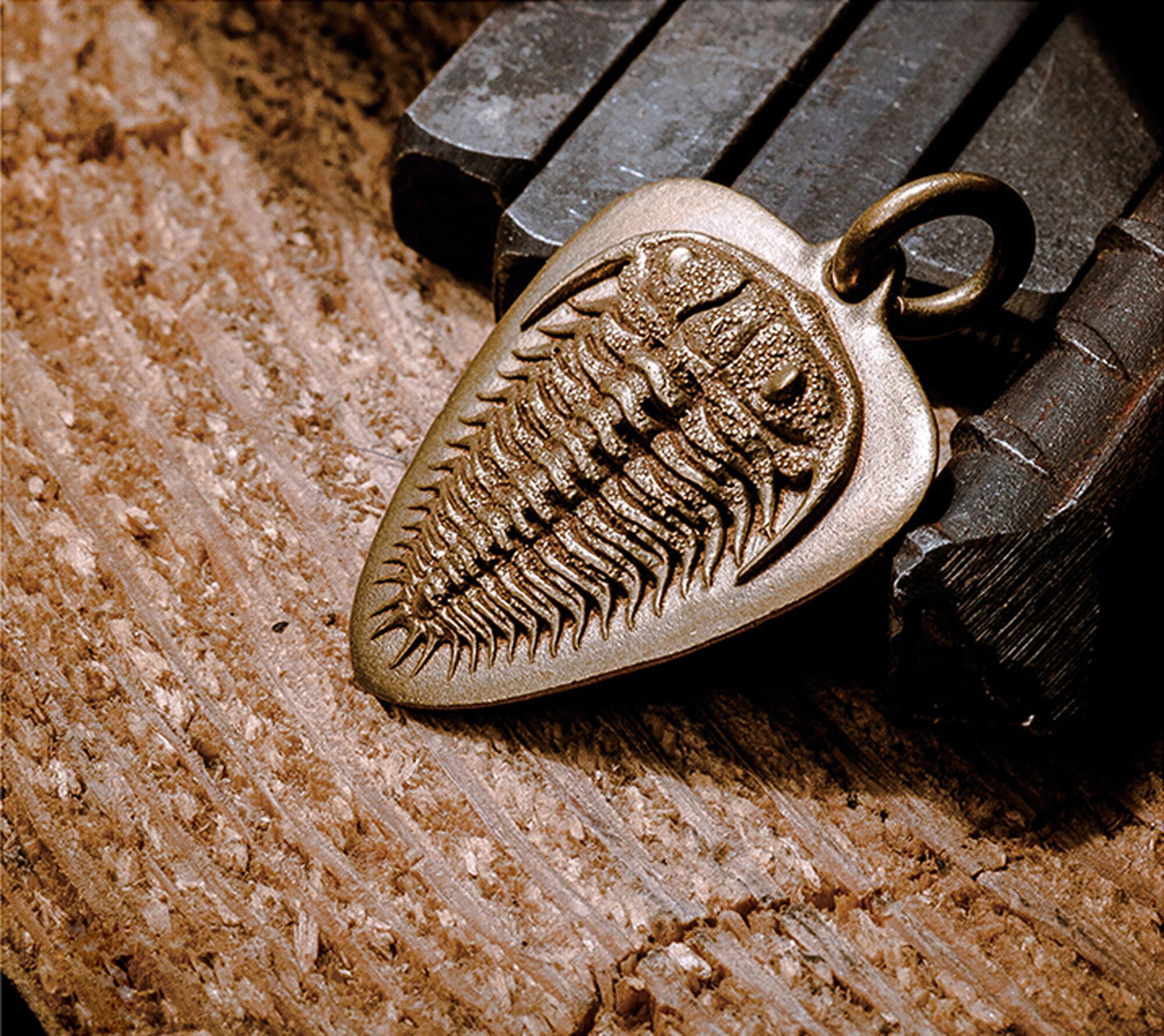 Trilobita Guitar Pick key chain Solid Brass EDC charm Gothic and punk accessory guitarist gift, music lovers gift, best man gift