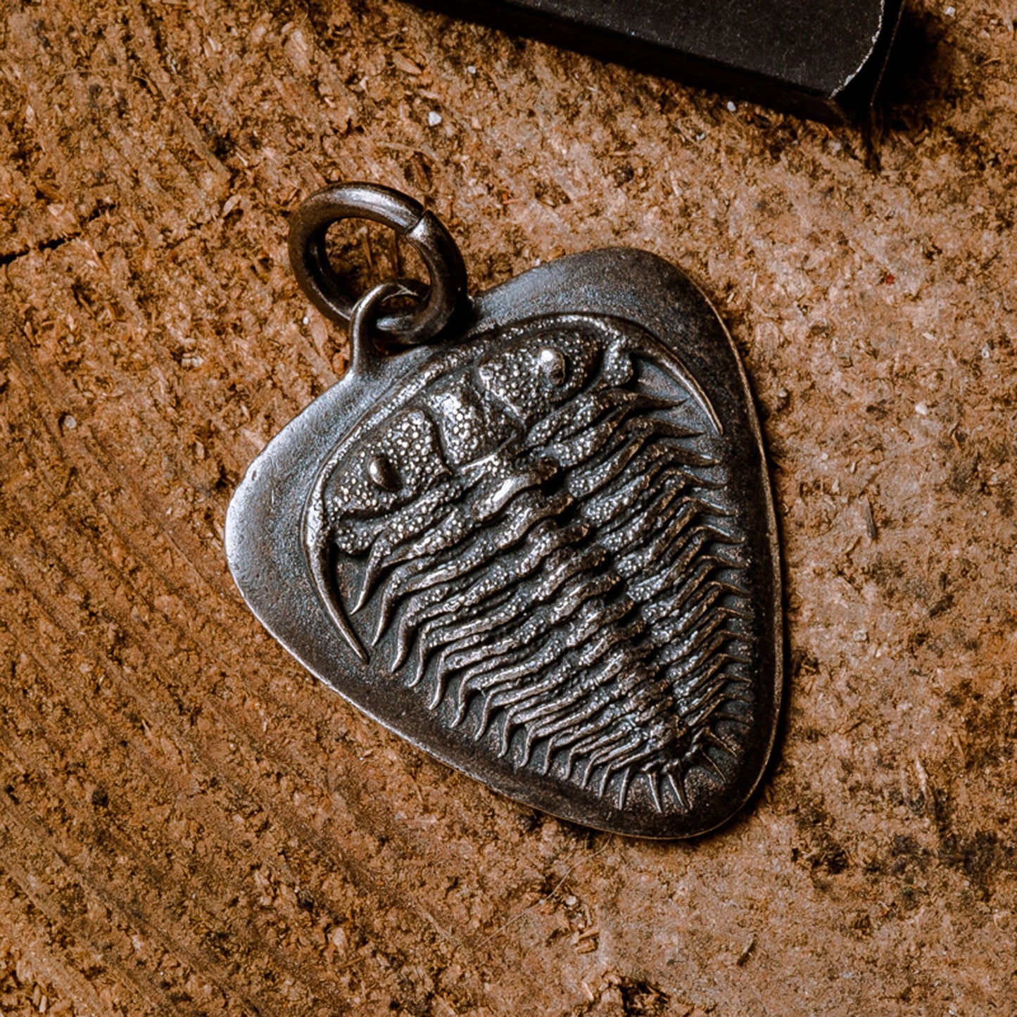 Trilobita Guitar Pick key chain Solid Brass EDC charm Gothic and punk accessory guitarist gift, music lovers gift, best man gift