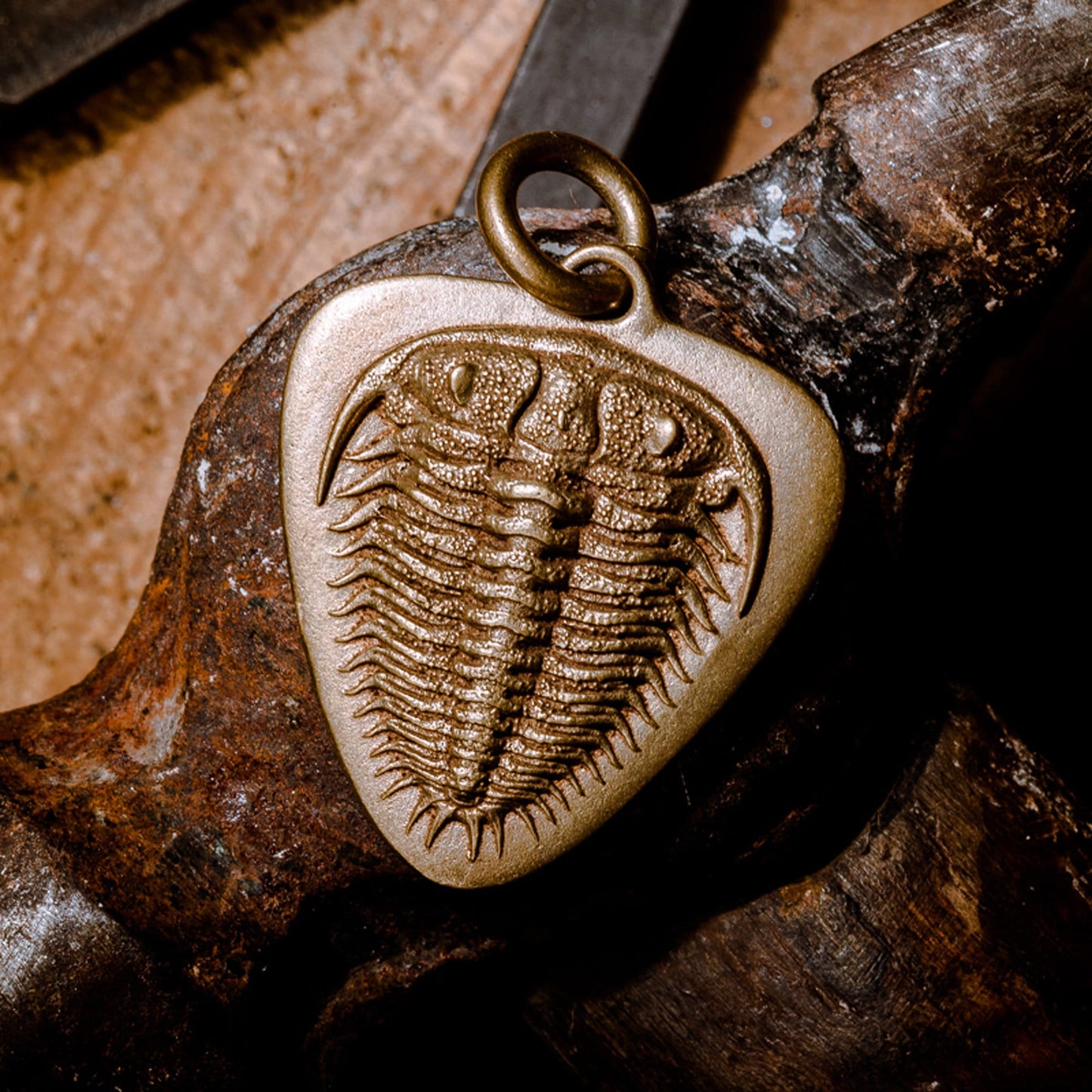 Trilobita Guitar Pick key chain Solid Brass EDC charm Gothic and punk accessory guitarist gift, music lovers gift, best man gift