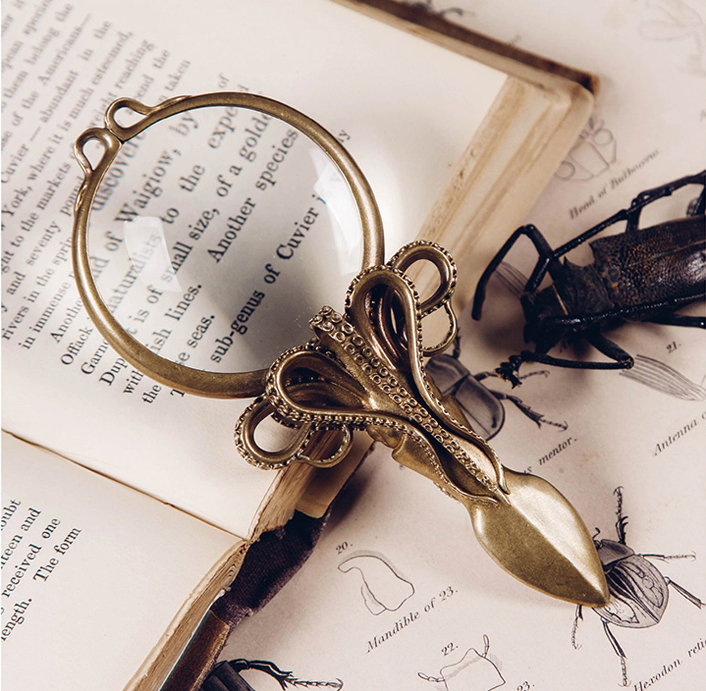Octopus Magnifying Glass Cthulhu Mythos Devilfish Solid Brass stand Gothic and punk accessory Father gift, man gift