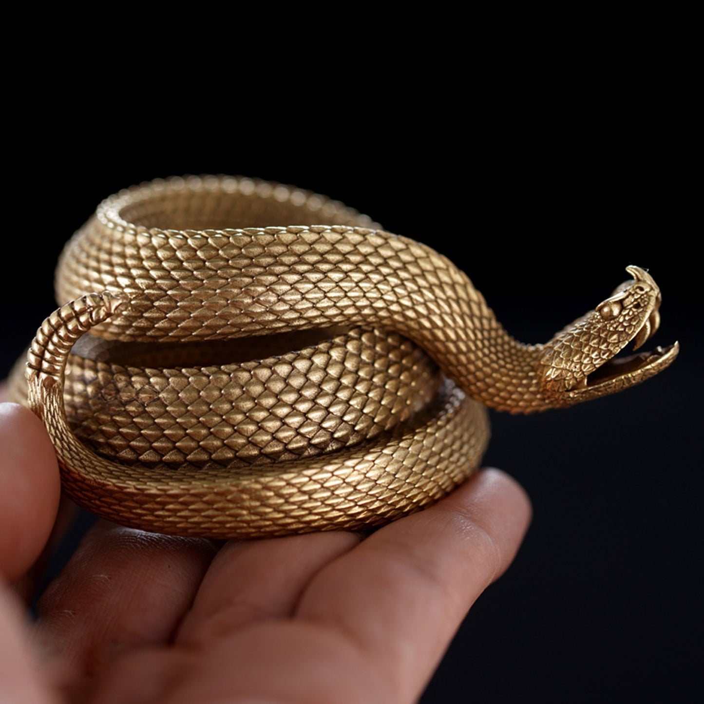 Rattlesnake Pen Holder desk decoration Solid Brass Handmade EDC charm Gothic and punk accessory Father gift, man gift