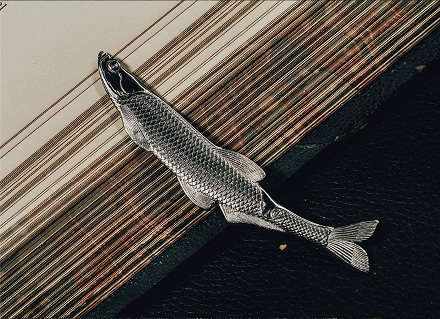 Predatory Carp Bookmark "Read and Live" Solid 316L Stainless steel EDC sea lover Fishermen gift Father gift, husband gift, best man