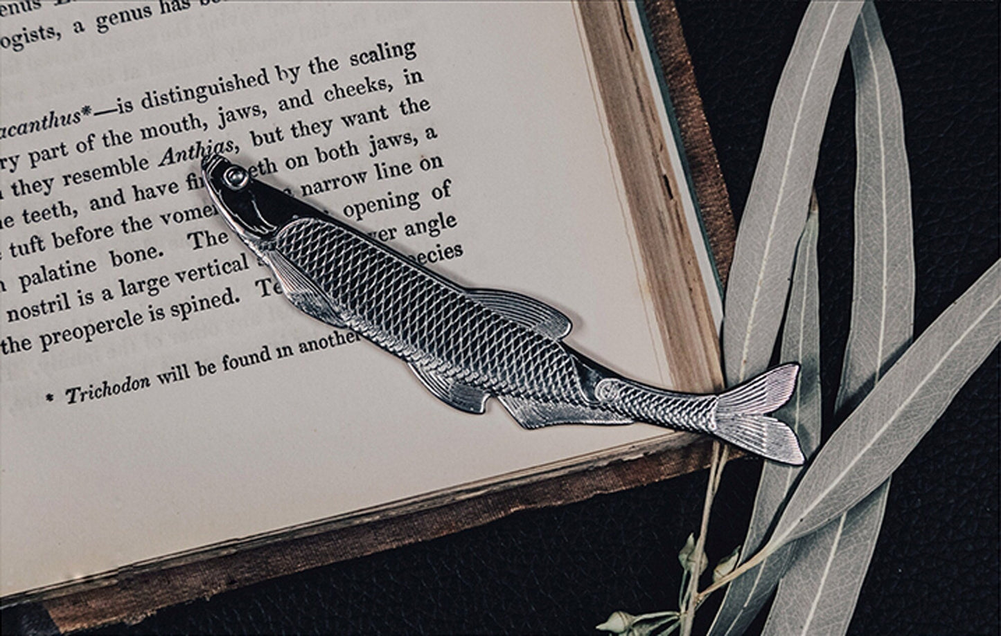 Predatory Carp Bookmark "Read and Live" Solid 316L Stainless steel EDC sea lover Fishermen gift Father gift, husband gift, best man