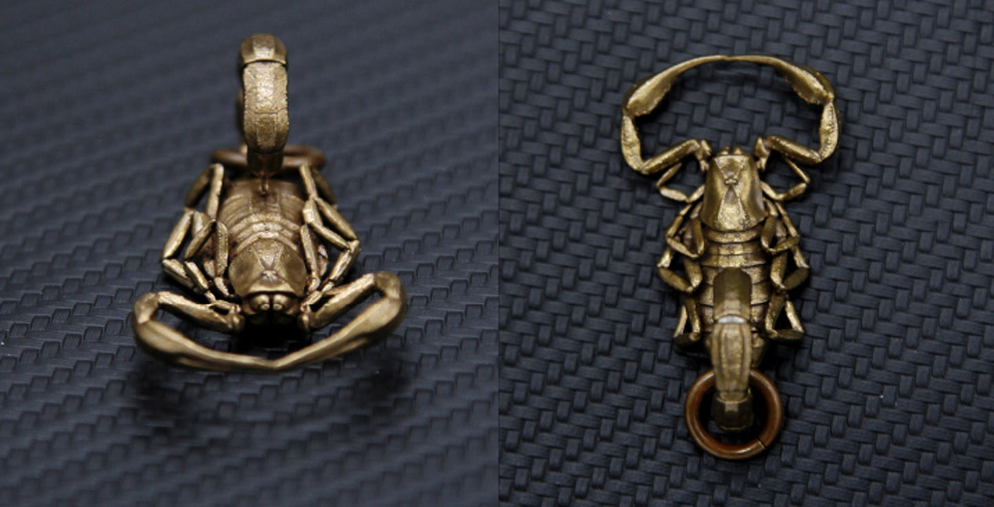 Scorpion key chain Solid Brass Key ring EDC charm Gothic and punk accessory deep sea lover Father gift, husband gift, best man gift