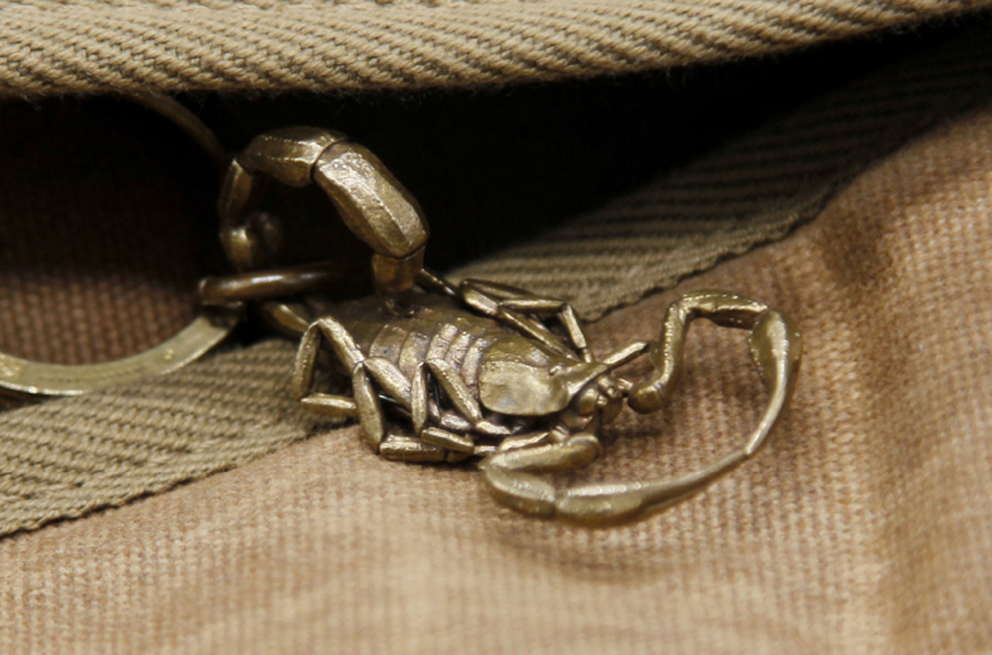 Scorpion key chain Solid Brass Key ring EDC charm Gothic and punk accessory deep sea lover Father gift, husband gift, best man gift